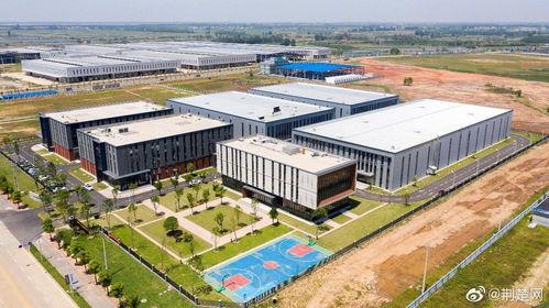 嘉鱼新闻爆料最新消息,重大事件引发社会关注！